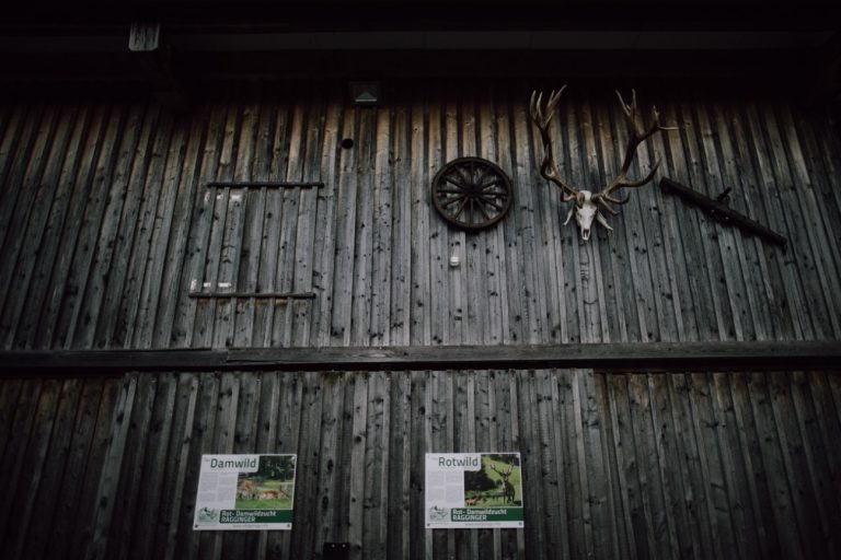 Wildgehege Ragginger